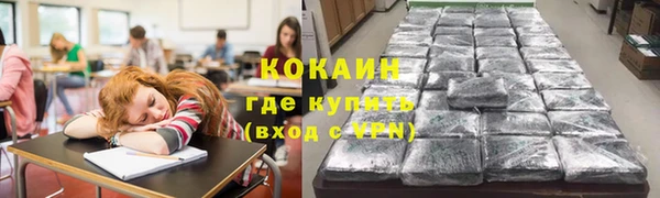 ГАЛЛЮЦИНОГЕННЫЕ ГРИБЫ Медвежьегорск