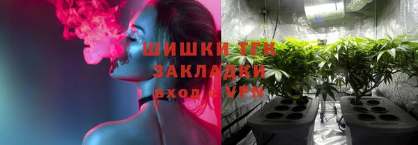 ГАЛЛЮЦИНОГЕННЫЕ ГРИБЫ Медвежьегорск