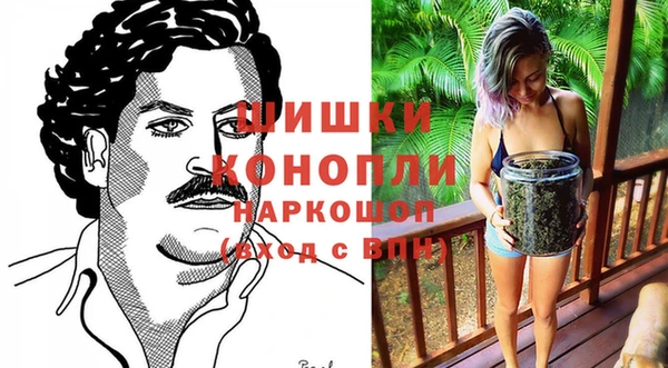 ПСИЛОЦИБИНОВЫЕ ГРИБЫ Медногорск