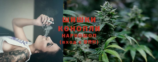 МДПВ Мегион