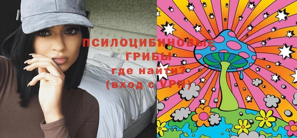ПСИЛОЦИБИНОВЫЕ ГРИБЫ Медногорск