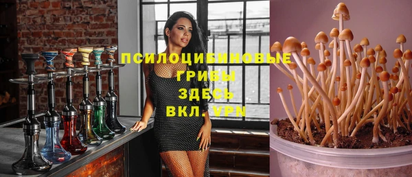 ГАЛЛЮЦИНОГЕННЫЕ ГРИБЫ Медвежьегорск