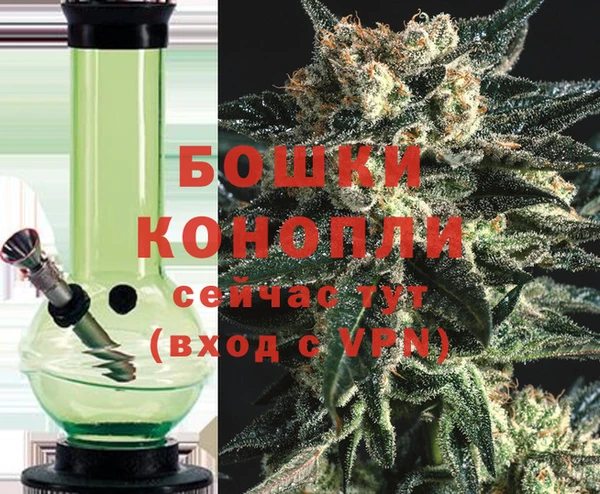 ПСИЛОЦИБИНОВЫЕ ГРИБЫ Медногорск