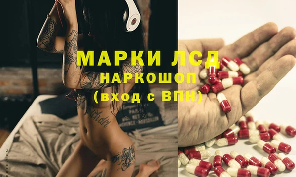 ГАЛЛЮЦИНОГЕННЫЕ ГРИБЫ Медвежьегорск